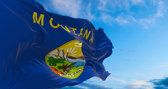 Montana 86 Legislature Summary